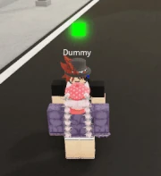 TripDMG